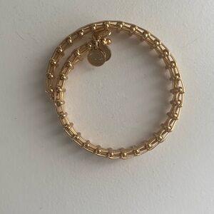 Alex and Ani Energy Bracelet